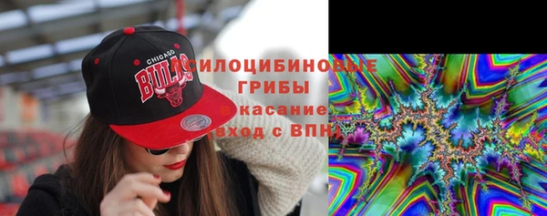 spice Алексеевка