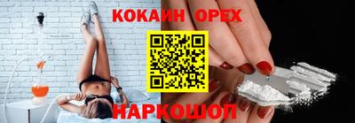 гидра Кингисепп