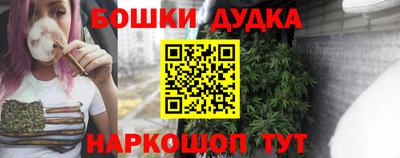 гидра Кингисепп