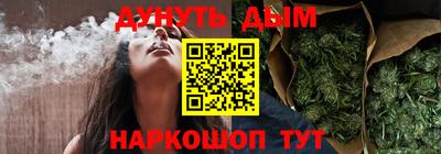 гидра Кингисепп