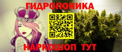 гидра Кингисепп