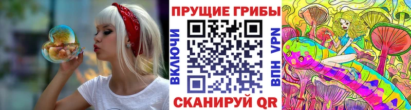 Псилоцибиновые грибы прущие грибы Кинель