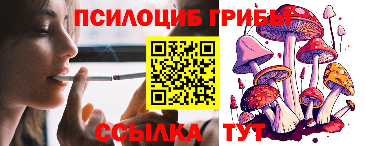 Галлюциногенные грибы GOLDEN TEACHER Кинель