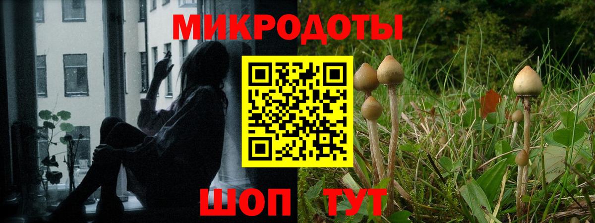 Кинель  Галлюциногенные грибы ЛСД  Вход с VPN  Псилоцибиновые грибы MAGIC MUSHROOMS 